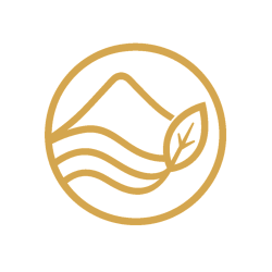 Roy Josué Sibaja Mendoza