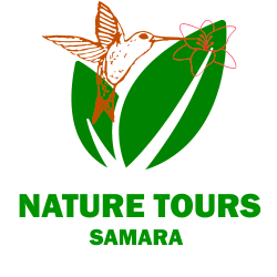 Nature Tours Samara